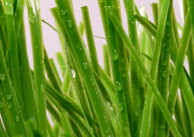 Artificial Turf Yarns